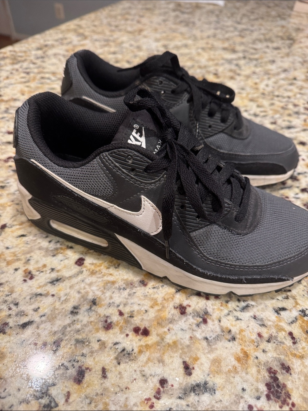 Nike Men’s Air Max 90 Shoes
